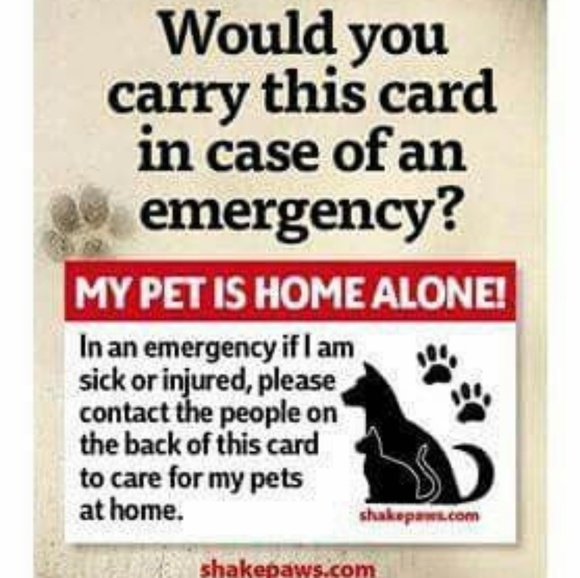 Meet your Posher, Karla Alphawolf - Picture 3 of 8